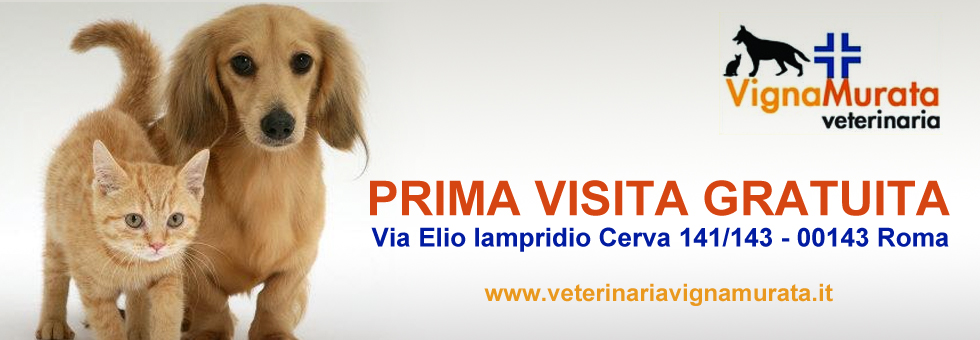 Veterinaria Vigna Murata